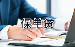 海口保单贷