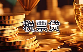 海口税票贷